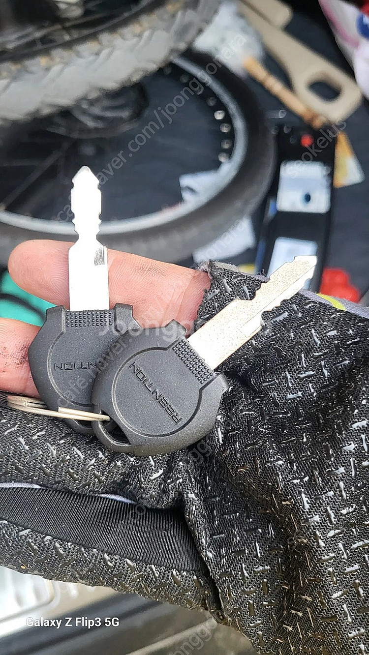 모토벨로 전기 자전거 테일지 에볼루션--9