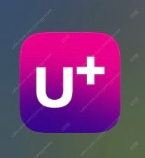 LGU+ 데이터2기가--0