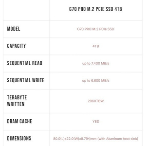[미개봉신품] TeamGroup nvme M.2 SSD G70 Pro 4TB