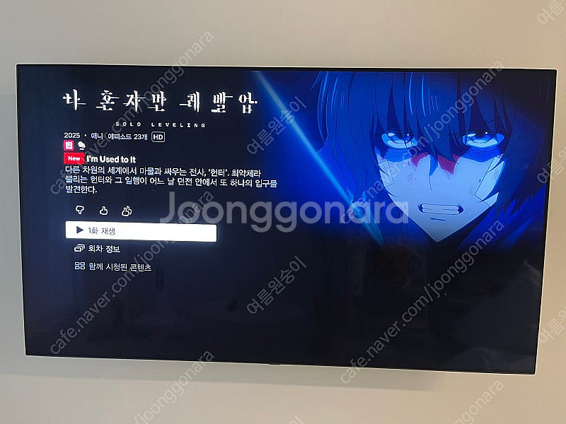 [마지막 가격]LG OLED 65인치 벽걸이 TV--1