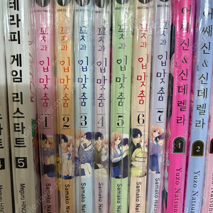 순정 만화책