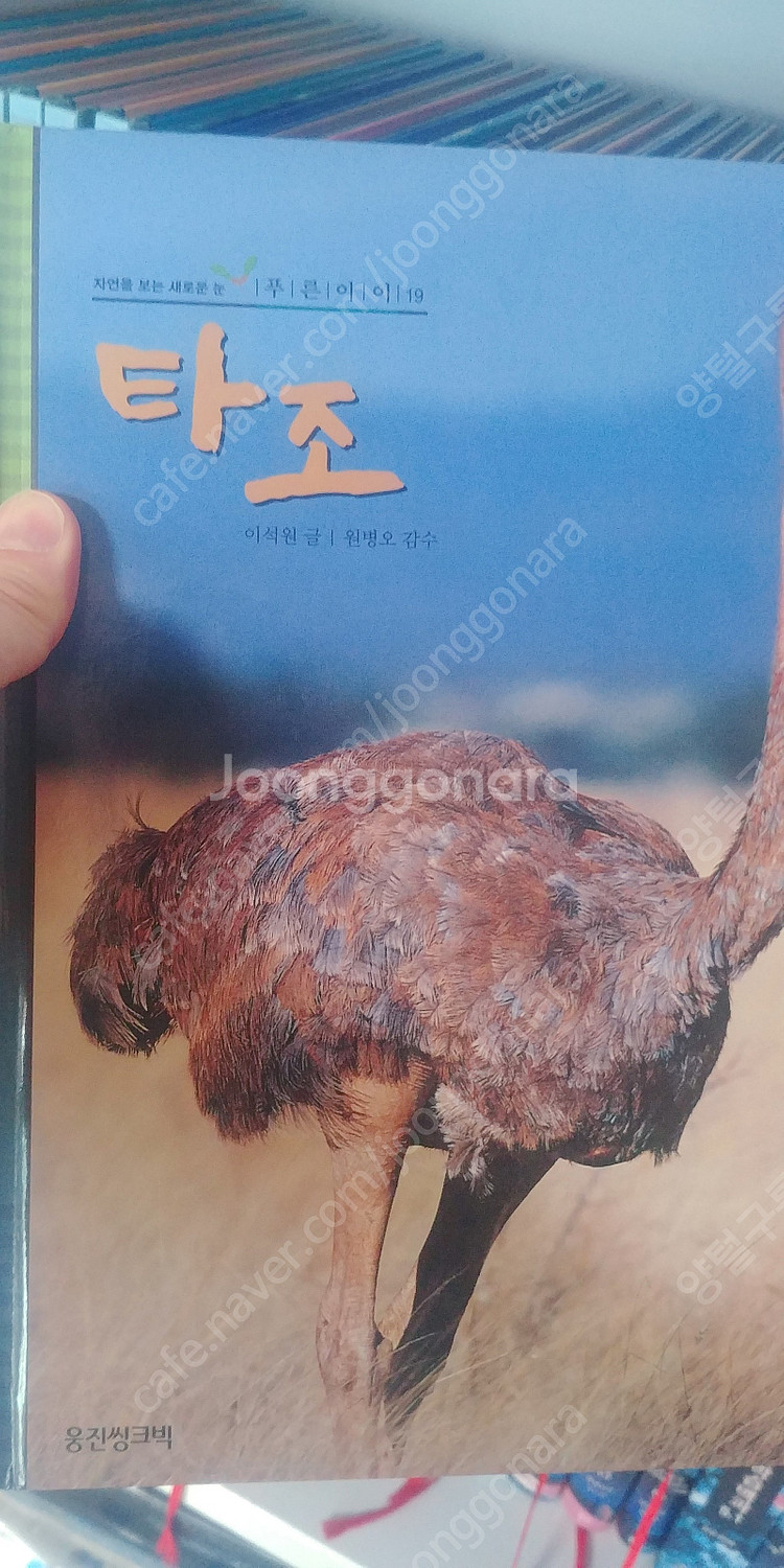 새책 중고전집 초등학생 학습 자연을 보는새로운눈 푸른아...--3