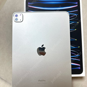 아이패드 프로 11 m2 256GB