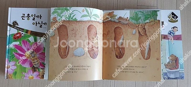 한국헤밍웨이쇠똥구리과학그림책(59)사진과세밀화로보는자연...--4