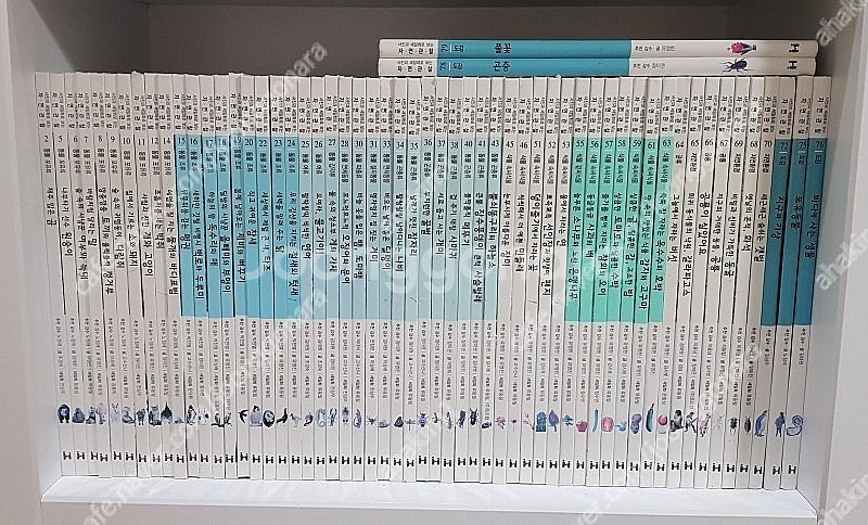 한국헤밍웨이쇠똥구리과학그림책(59)사진과세밀화로보는자연...--5