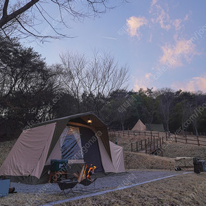 내셔널지오그래픽 코치지하우스 판매합니다.