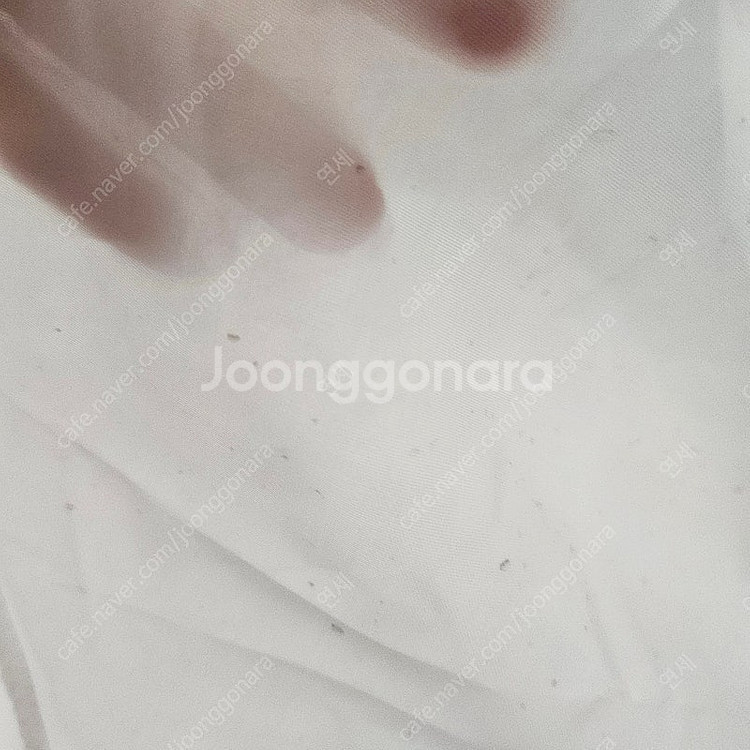 미카도실크 셀프 웨딩 드레스 야외 웨딩 스냅 촬영, 키...--6