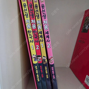 역사만화 (용선생, 이이화, 안녕자두야)