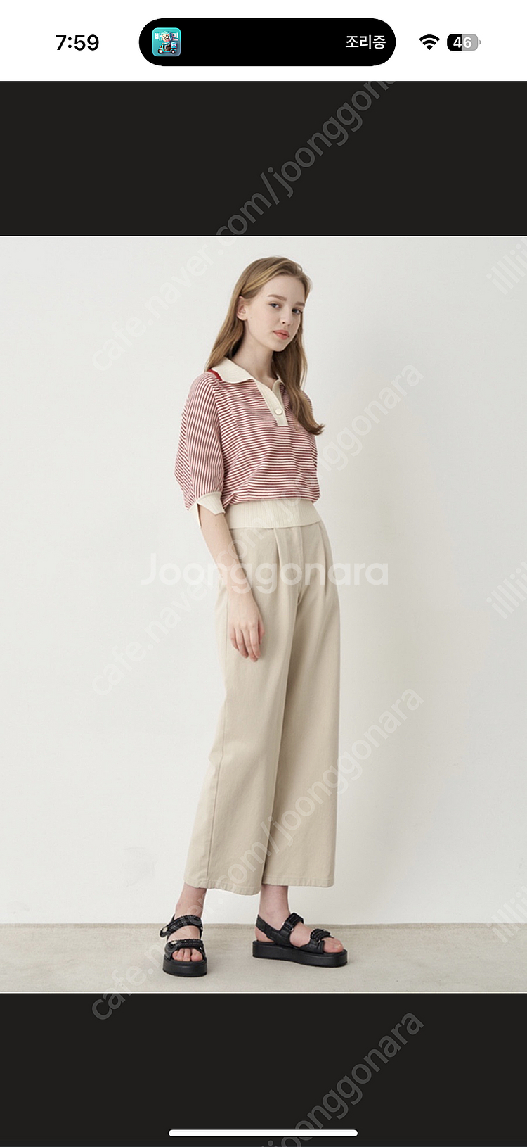 sjsj 반팔 니트--0