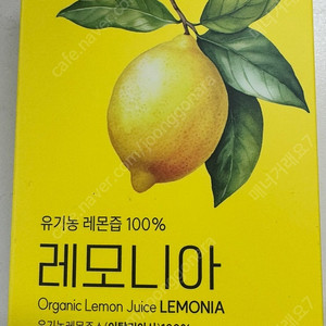 레몬즙 10박스