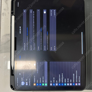 아이패드 m4 13인치 1tb 셀룰러 블랙 에케플 팬슬 프로
