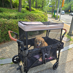 피카노리 록키 웨건 대형견 다견 유모차 개모차 판매