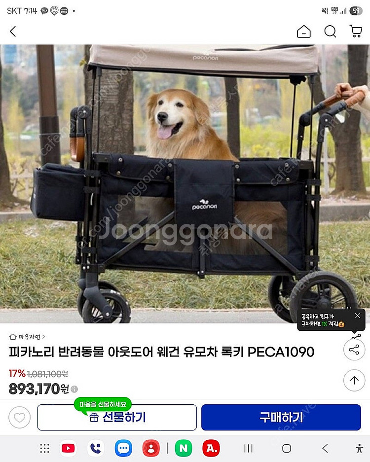 피카노리 록키 웨건 대형견 다견 유모차 개모차 판매--2
