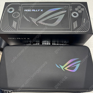 흑갈리 rog ally x 1tb