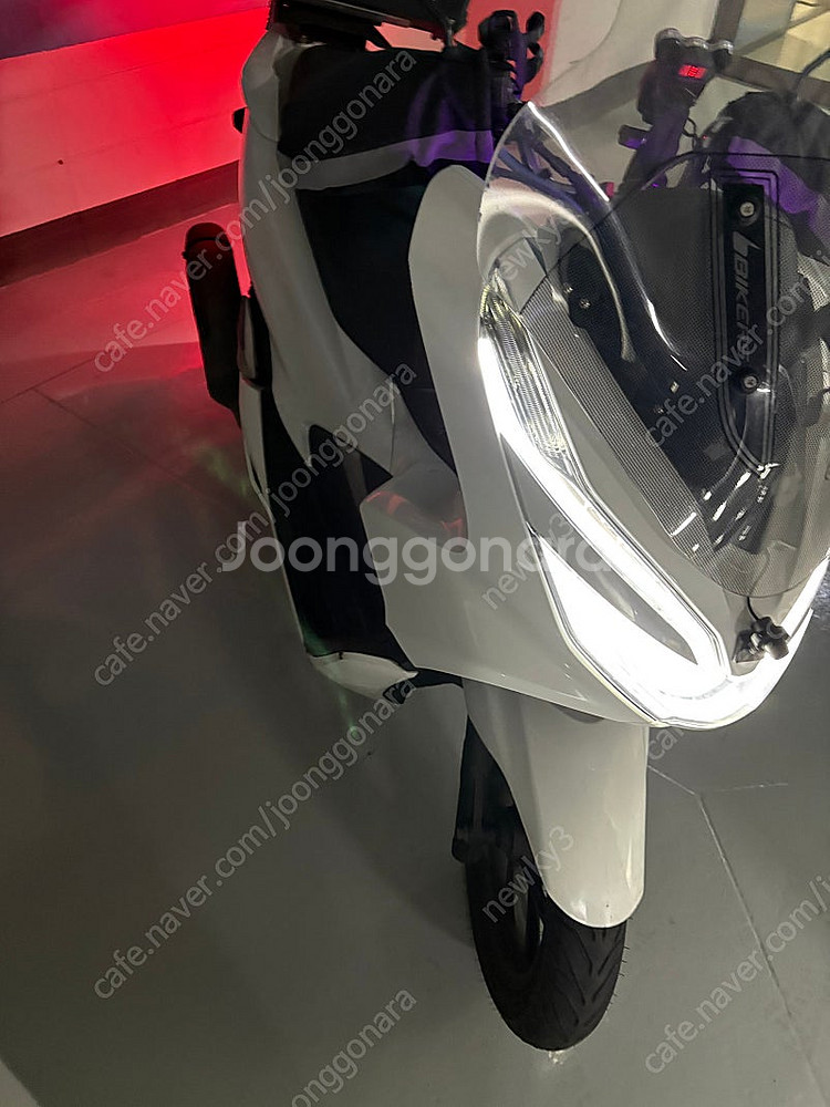 2019 pcx 125--0