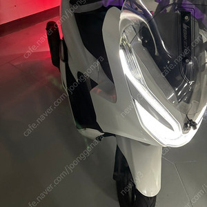 2019 pcx 125