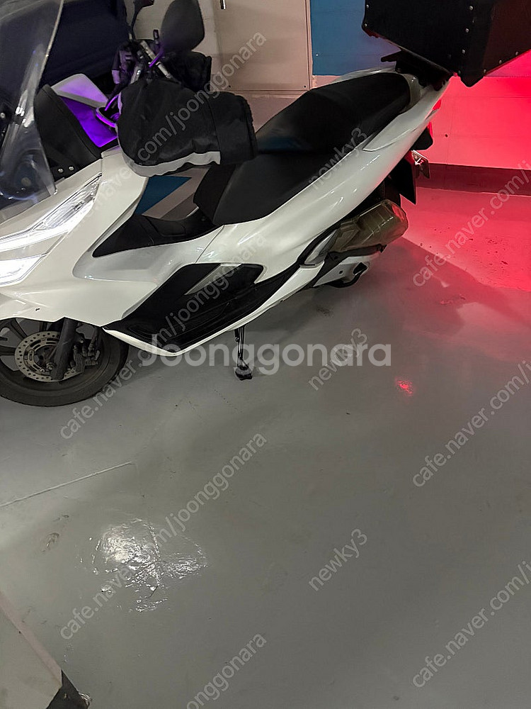 2019 pcx 125--1