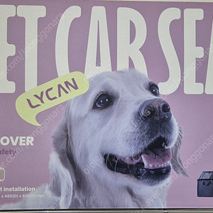 강아지 카 시트