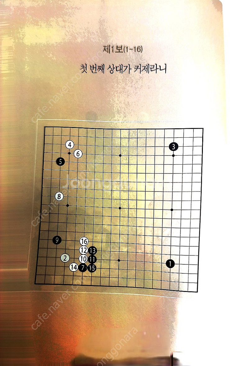 바둑 책- 2019 삼성화재배 월드바둑마스터스 기보집 ...--4