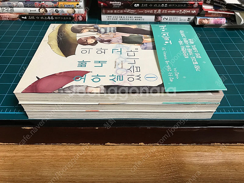 소장용 만화책 코믹스 오빠의 아내와 살고 있습니다 1~...--3