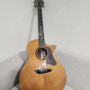 고퍼우드 k830rce 기타