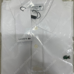 라코스테 카라티 화이트 클래식핏 팔아요!