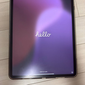 아이패드 프로 5세대 12.9 wifi 512g 스그 팝니다