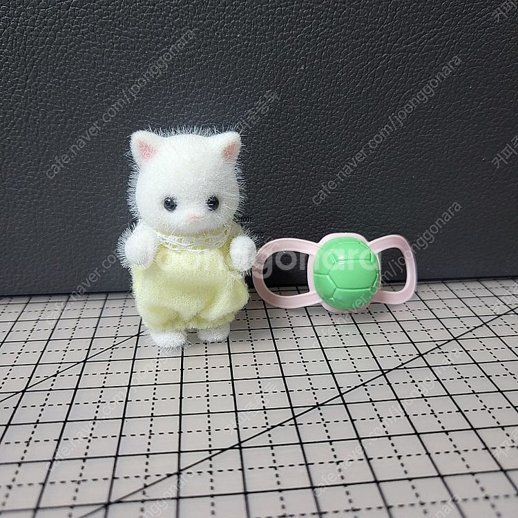 실바니안 거북이 페르시안--0