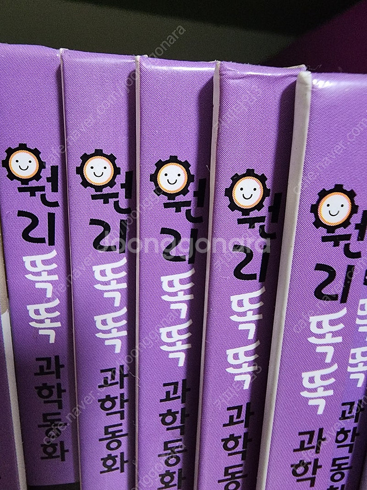 대교 원리 똑똑 과학은--3