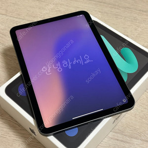 아이패드 미니 6 스페이스그레이 wifi 256g