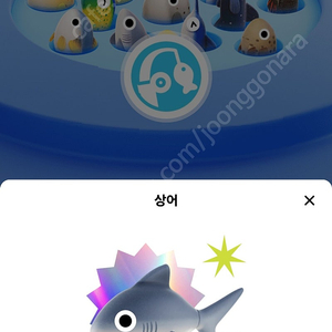 틱톡 상어