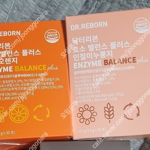 닥터리본 효소
