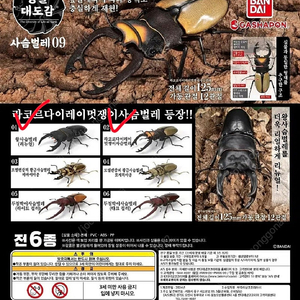 반다이 생물대도감 사슴벌레 9탄 01 왕사슴벌레 새제품