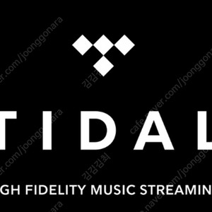Tidal 타이달 한달 2500원 패밀리