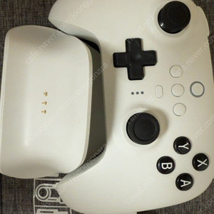 8bitdo 스위치 컨트롤러