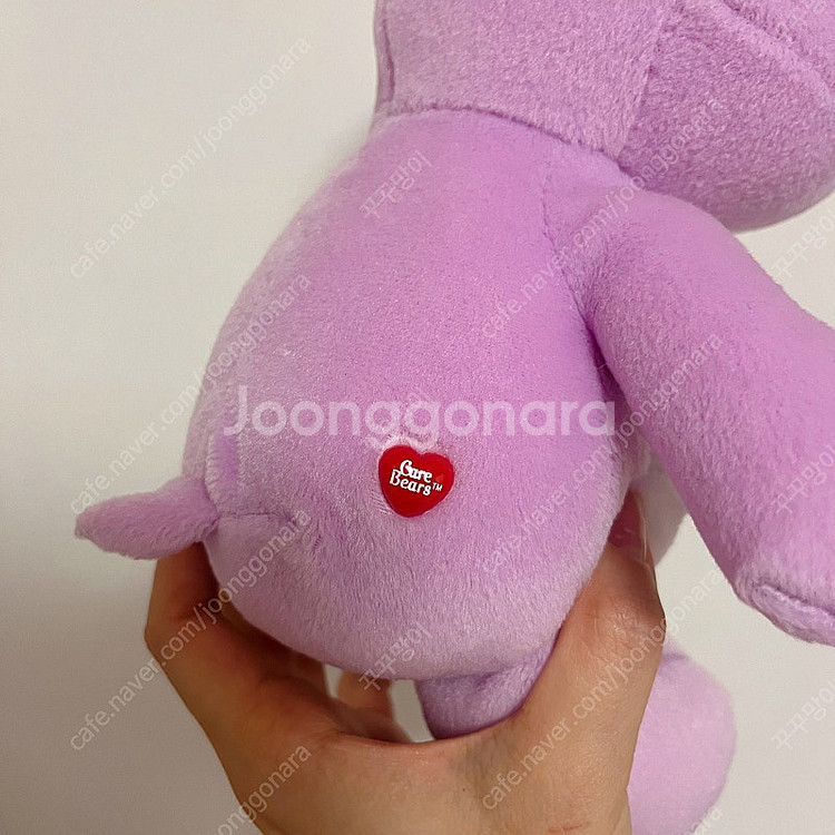케어베어 인형 10인치 3종 일괄--4