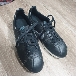 나이키 여성신발250