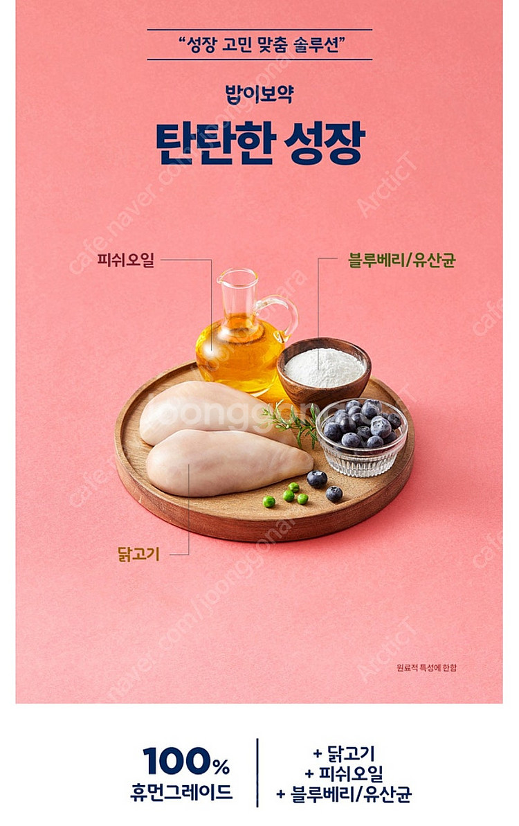 [최종가, 거의 새제품] 하림펫푸드 밥이보약 탄탄한 성...--2