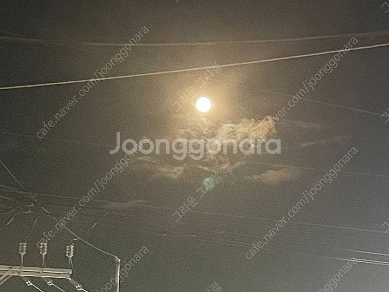 아디다스 3만원 1만원권 할인쿠폰--0