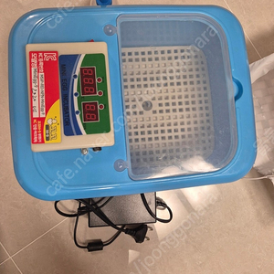 병아리부화기