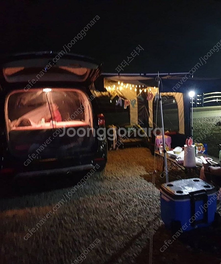 더뉴카니발 코토 일체형루프박스,어닝 팝니다.--4
