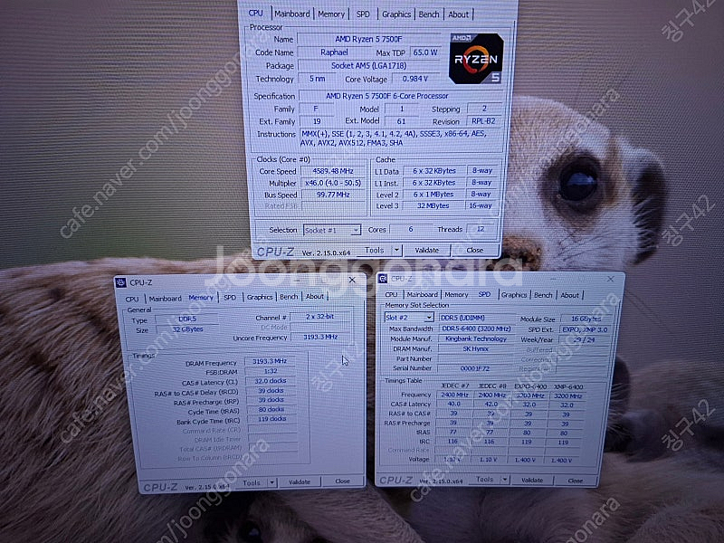 7500f + 킹뱅크 ddr5 6400 32g 판매합니...--3