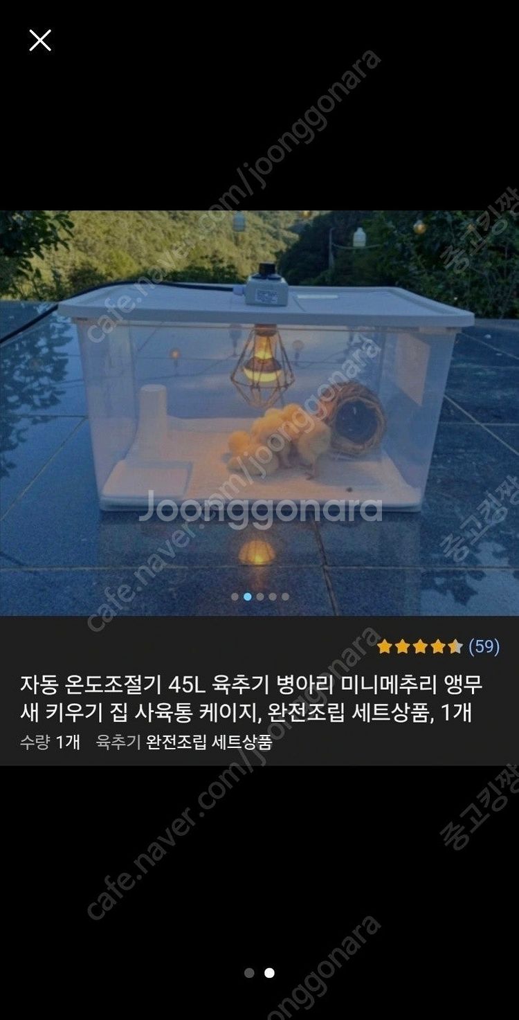 메추리 부화기 및 육추기--0