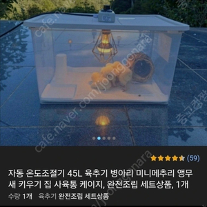메추리 부화기 및 육추기