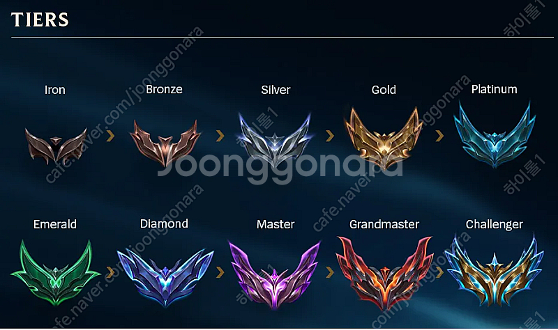 2025새시즌 LOL) 롤 대리x듀오x맡김x강의x기사x...--0
