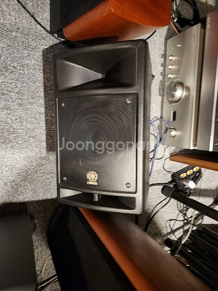 야마하 스테이지파스 300--1