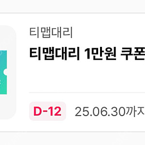 티맵대리 1만원 쿠폰