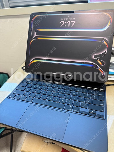 아이패드 프로13 m4 1tb 셀룰러 / 아이패드 프로...--0