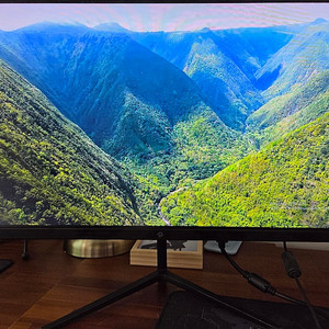 레안텍 24인치 240Hz 게이밍 모니터
