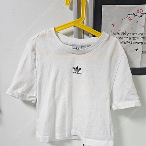 아디다스 크롭티 xs 흰색